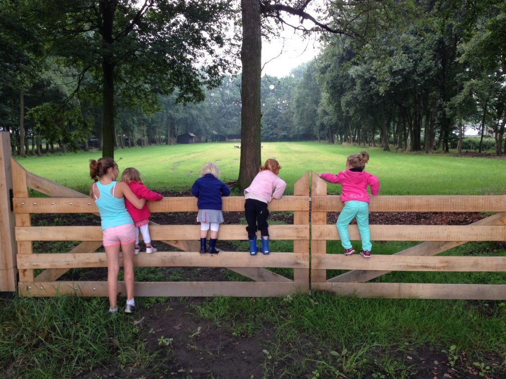 Het uurtarief van een gastouder Begrip, variatie en waarde